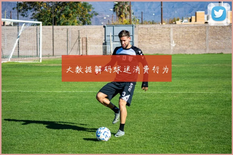 大数据解码球迷消费行为
