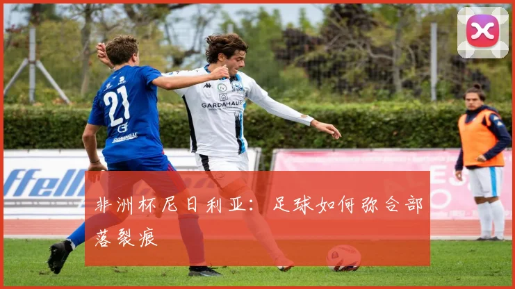 非洲杯尼日利亚：足球如何弥合部落裂痕