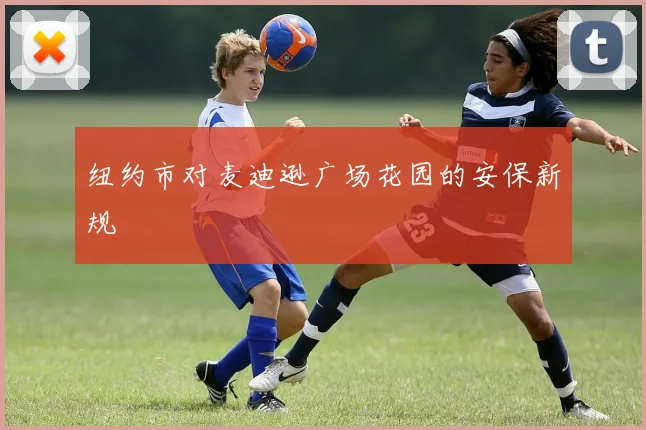 纽约市对麦迪逊广场花园的安保新规