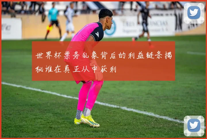 世界杯票务乱象背后的利益链条揭秘谁在真正从中获利