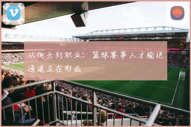 从街头到职业：篮球赛事人才输送通道正在形成